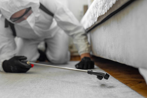 Professional Bed Bug Control technician working in Zanesville, OH