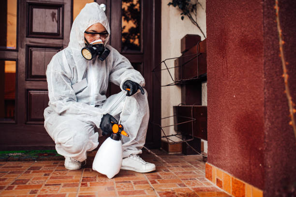 Reliable Bed Bug Control contractor in Zanesville, OH by Nex Pest Control